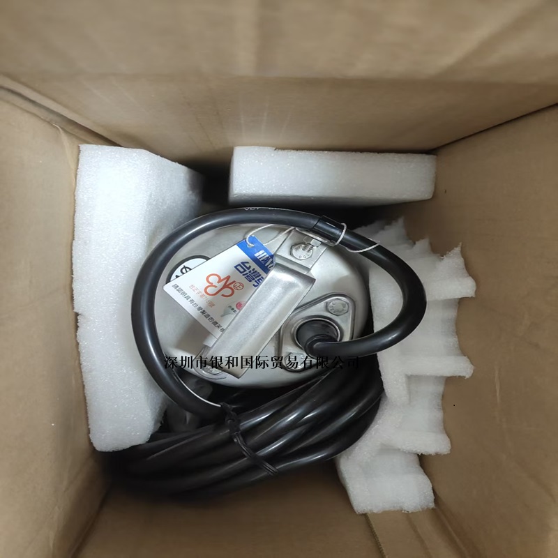 台湾亨龙GRAMPUS 潜水泵 L10315