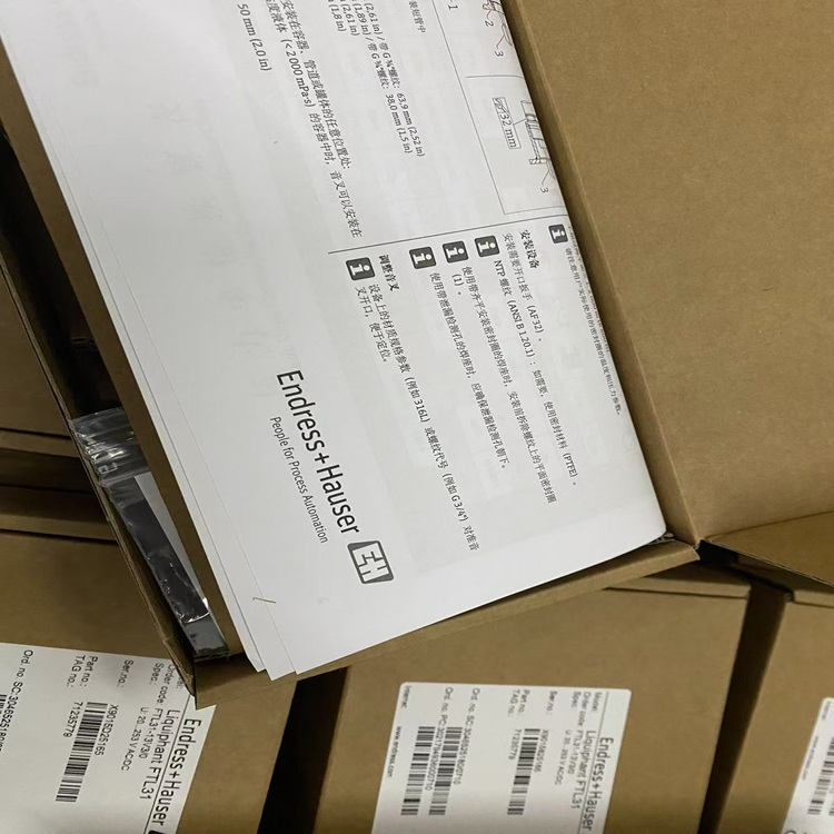 E+H恩德斯豪斯音叉液位开关FTL31系列FTL31-AA1U2AAWCJ