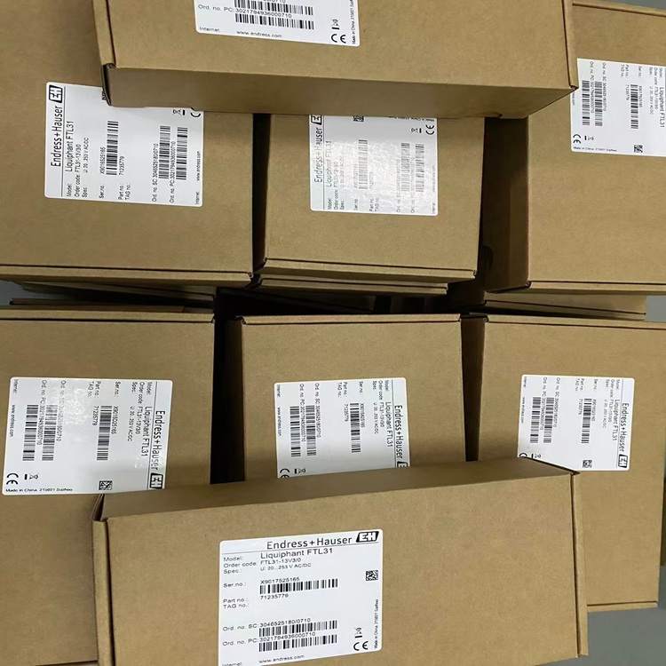 E+H恩德斯豪斯音叉液位开关FTL31系列FTL31-AA1U2AAWCJ