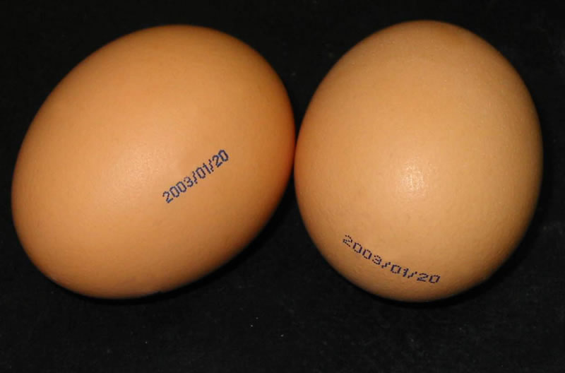 食品行业应用(图2)